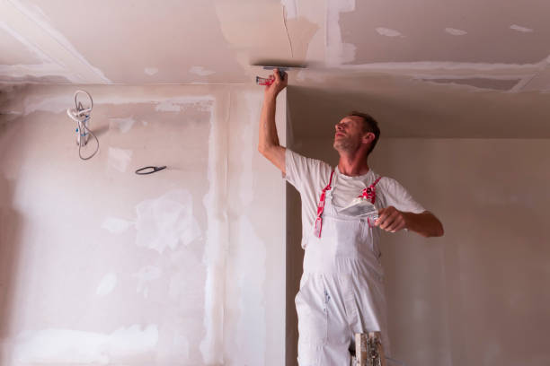 Best Drywall Sanding and Smoothing  in Culpeper, VA